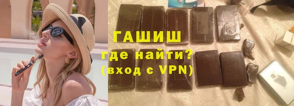 сатива Каменка