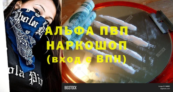 сатива Каменка