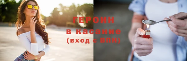 сатива Каменка